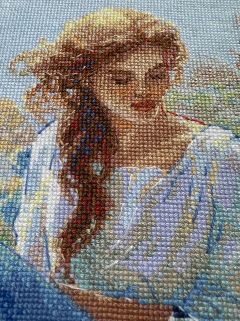 Aine siuvinėjimo rinkinys „Motina Gamta – Pieva“ (Olga Novitskaja, 40×30 cm, 14 ct)