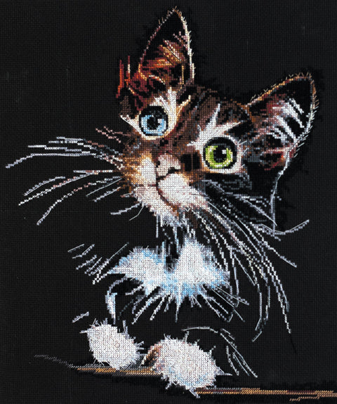 Abris Art siuvinėjimo rinkinys Pūkuotas kačiukas — juodas 14 ct Aida 30×35 cm, 24 spalvos