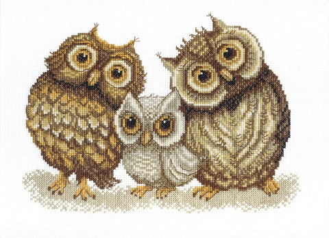 Charivna Mit kryželiu siuvinėjimo rinkinys „Pelėdų šeima“ — Aida 14, 9 spalvų, 27×20 cm