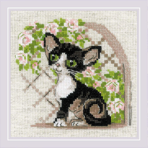 Cornish Rex Kitten. RIOLIS rinkinys siuvinėjimui kryželiu Nr.: 2121 - kaSiulai.lt