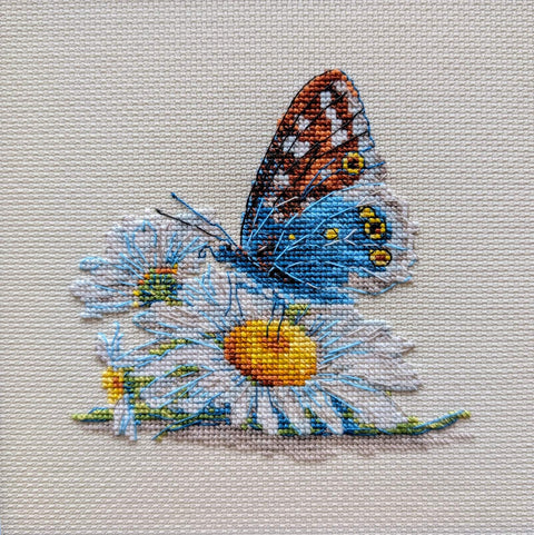 RIOLIS siuvinėjimo rinkinys „Fragile Beauty“ Nr. 2220 — 15×15 cm, 14 spalvų, Zweigart 18ct AIDA
