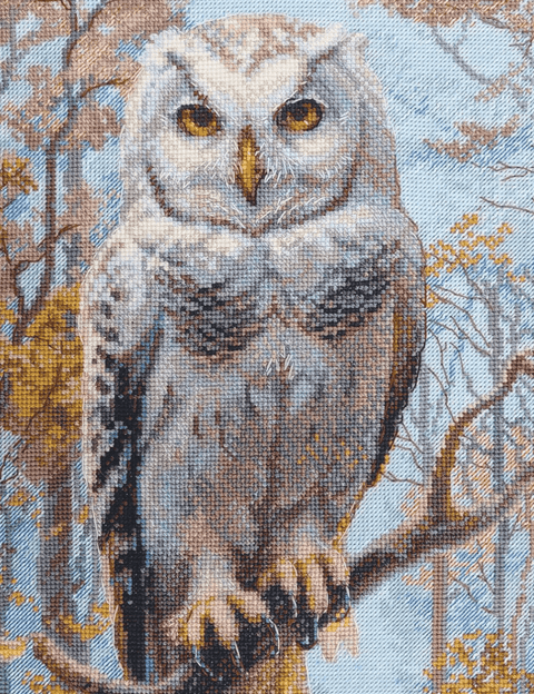 Aine siuvinėjimo rinkinys „Laukinė pelėda“ — kryželiu, 30×40 cm
