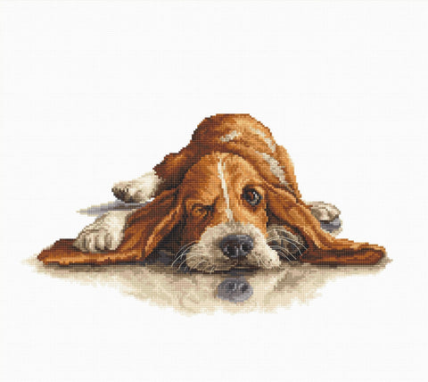 Luca-S siuvinėjimo rinkinys Basset SB2341 28.5x15.5cm - kaSiulai.lt