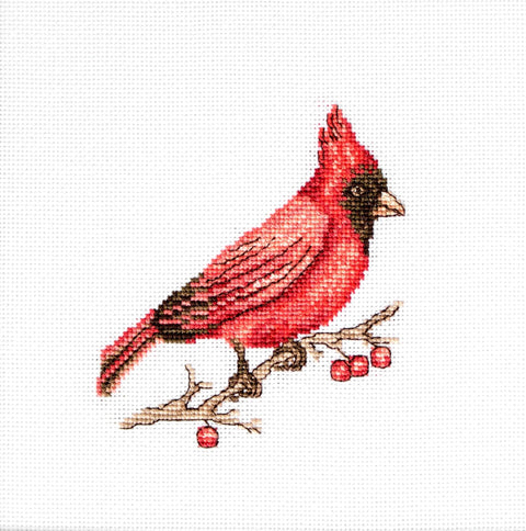 Luca-S siuvinėjimo rinkinys Cardinal SB1156 10x9cm - kaSiulai.lt