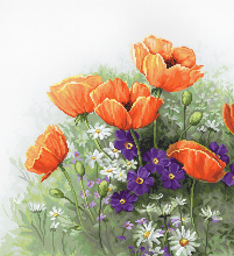 Luca-S siuvinėjimo rinkinys Poppies SB2368 28.5x28cm - kaSiulai.lt