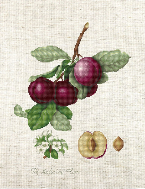 Luca-S siuvinėjimo rinkinys The Nectarine Plum SBA2248018x23cm - kaSiulai.lt