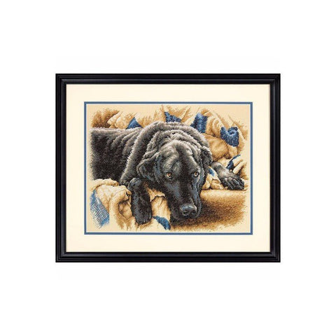Malonumai (35.56 x 27.94 cm) - DIMENSIONS siuvinėjimo kryželiu rinkinys - kaSiulai.lt
