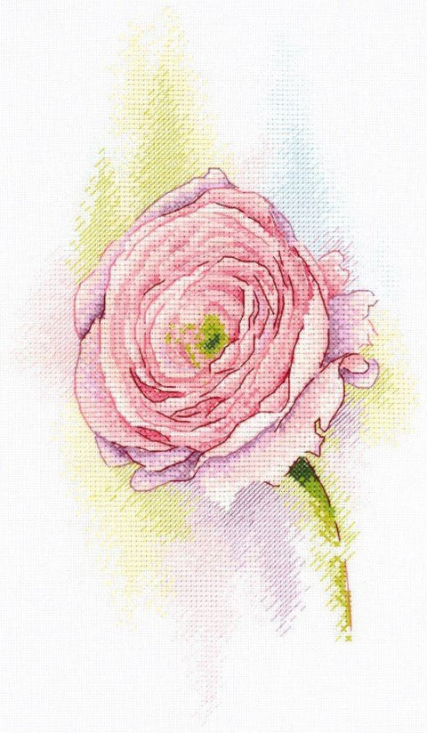 Siuvinėjimas kryželiu "Švelnūs vėdrynai" — audinys Linda 27, DMC 17 spalvų - kaSiulai.lt