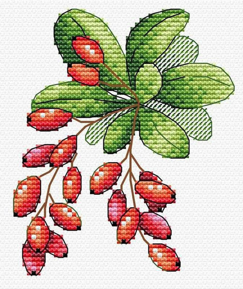 Siuvinėjimo komplektas kryželiu Aida 14, 13 spalvų, 12×10 cm su schema - kaSiulai.lt