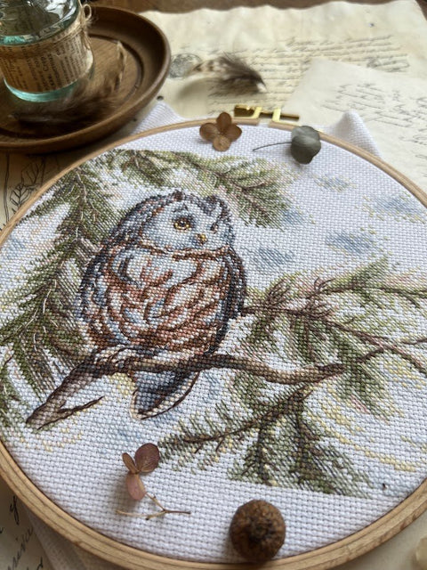 Siuvinėjimo komplektas kryželiu „Mažoji pelėda“ 20×15 cm — pradedantiesiems - kaSiulai.lt