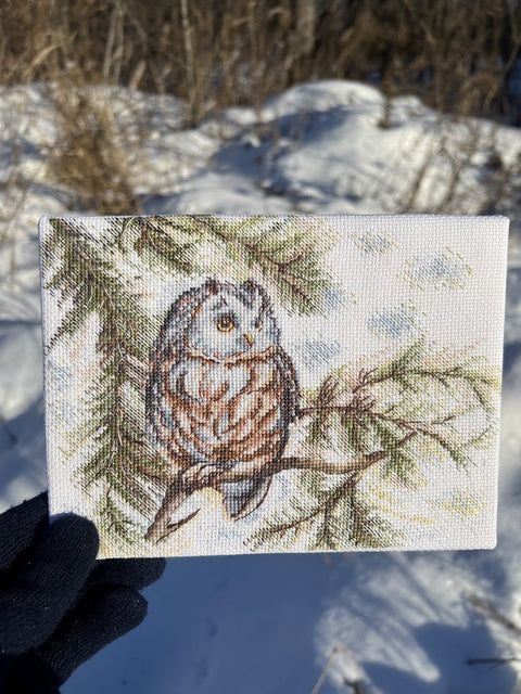 Siuvinėjimo komplektas kryželiu „Mažoji pelėda“ 20×15 cm — pradedantiesiems - kaSiulai.lt