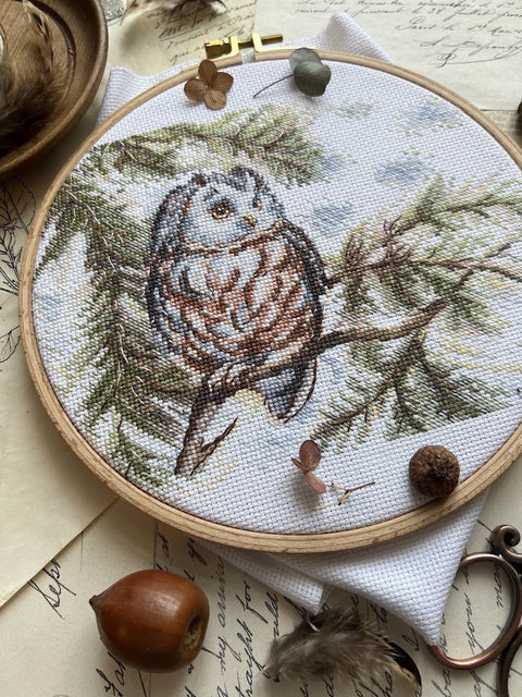 Siuvinėjimo komplektas kryželiu „Mažoji pelėda“ 20×15 cm — pradedantiesiems - kaSiulai.lt