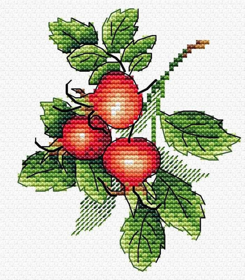 Siuvinėjimo komplektas "Prinokę erškėtuogiai" — Aida 14, 13 spalvų, 11×10 cm - kaSiulai.lt