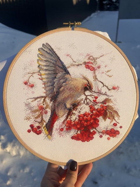 Siuvinėjimo komplektas „Waxwing“ kryželiu — spalvingas paukštis, 19×19,5 cm - kaSiulai.lt