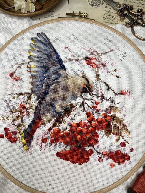 Siuvinėjimo komplektas „Waxwing“ kryželiu — spalvingas paukštis, 19×19,5 cm - kaSiulai.lt