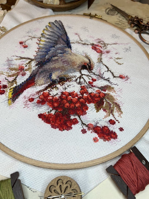 Siuvinėjimo komplektas „Waxwing“ kryželiu — spalvingas paukštis, 19×19,5 cm - kaSiulai.lt