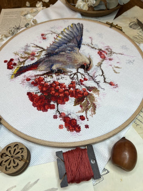 Siuvinėjimo komplektas „Waxwing“ kryželiu — spalvingas paukštis, 19×19,5 cm - kaSiulai.lt