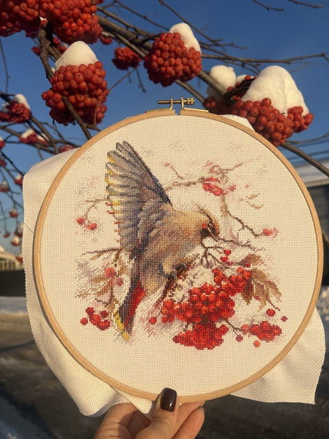Siuvinėjimo komplektas „Waxwing“ kryželiu — spalvingas paukštis, 19×19,5 cm - kaSiulai.lt