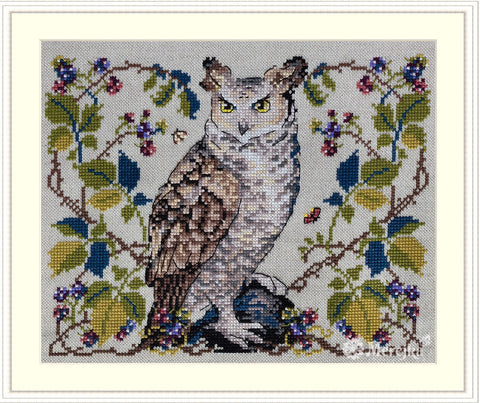 Merejka siuvinėjimo rinkinys Žavinga pelėda kryželiu su DMC, 20×16 cm