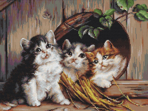 Luca‑S siuvinėjimo rinkinys Friendly Shelter – Aida 16, Anchor siūlai, 28,5×35,5 cm