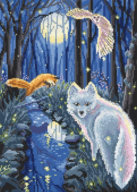 Siuvinėjimo rinkinys A Midsummer Nigh 27x19,5cm SLETIL8060 - 🧶kaSiulai.lt