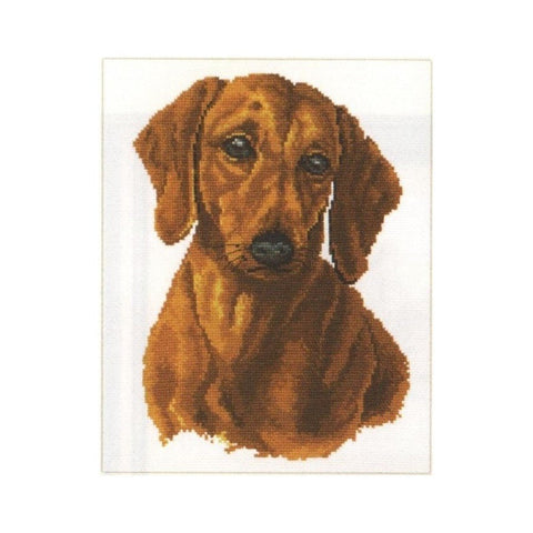 Siuvinėjimo rinkinys Alisa "Taksas" 1-01 (18x25 cm) - kaSiulai.lt
