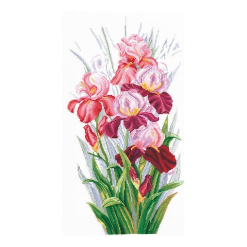 Siuvinėjimo rinkinys Andriana Triumph Of Irises SANT-14 23x44cm - kaSiulai.lt