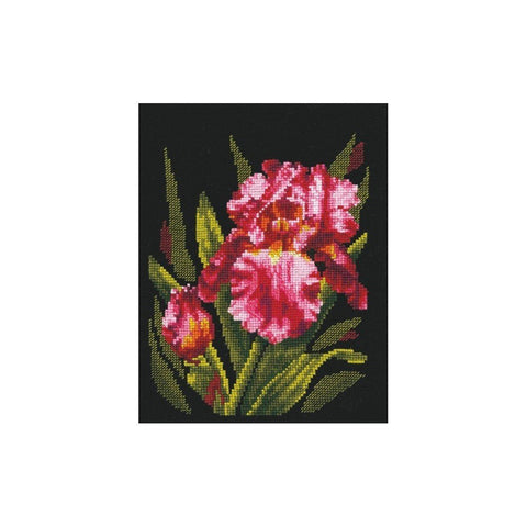 Siuvinėjimo rinkinys Andriana Velvet Iris SANB-15 18x23cm - kaSiulai.lt