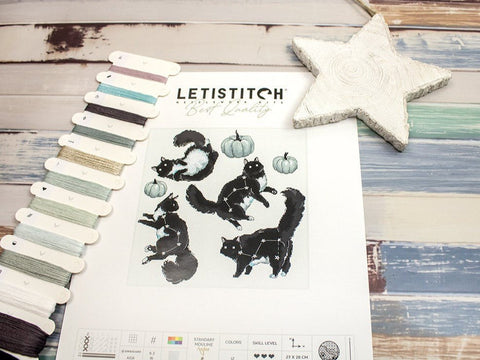 Siuvinėjimo rinkinys Cat Constellation 28x27 cm SLETIL8817 - 🧶kaSiulai.lt