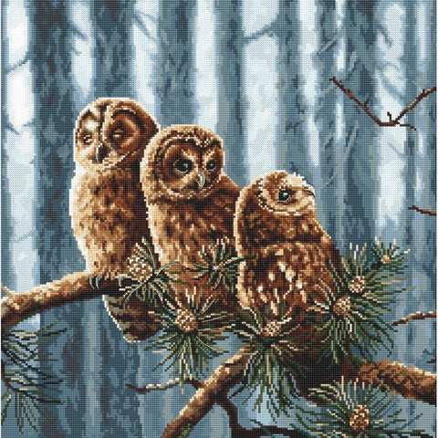 Siuvinėjimo rinkinys LetiStitch Owls Family SLETI946 33x33.5cm - kaSiulai.lt