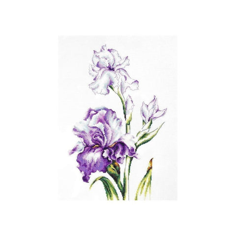 Siuvinėjimo rinkinys Luca-S Irises SB2251 24x38cm - kaSiulai.lt
