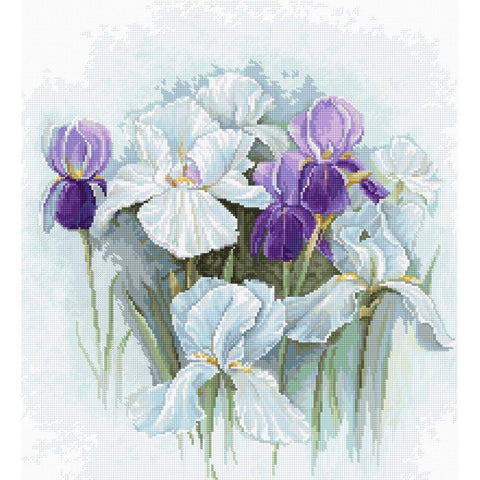 Siuvinėjimo rinkinys Luca-S Irises SB2367 28x31cm - kaSiulai.lt