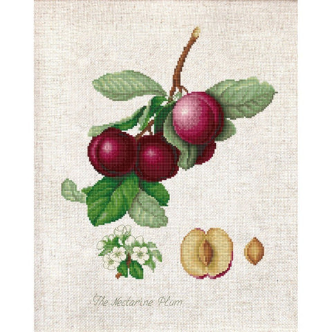 Siuvinėjimo rinkinys Luca-S The Nectarine Plum SBL22480 18x23cm - kaSiulai.lt