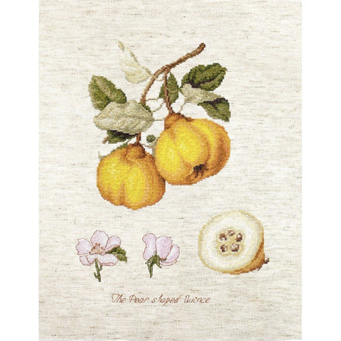 Siuvinėjimo rinkinys Luca-S The Pear Shaped Quince SBA22430 18.5x25cm - kaSiulai.lt