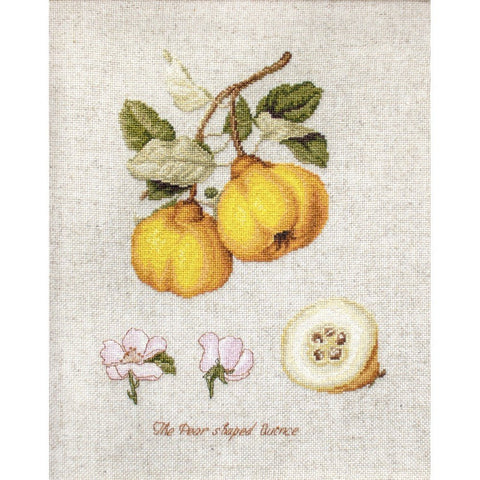 Siuvinėjimo rinkinys Luca-S The Pear Shaped Quince SBL22430 17x22.5cm - kaSiulai.lt