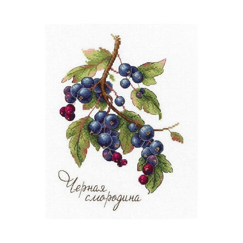 Siuvinėjimo Rinkinys MP Studija Gifts of Nature. Black Currant SNV-694 15x20cm - kaSiulai.lt