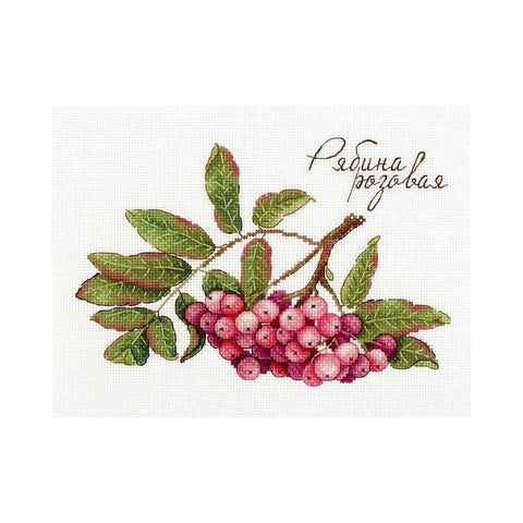 Siuvinėjimo Rinkinys MP Studija Gifts of Nature. Pink Rowan SNV-693 15x20cm - kaSiulai.lt