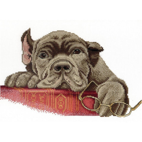Siuvinėjimo Rinkinys MP Studija Sherlock SNV-538 20x28cm - kaSiulai.lt