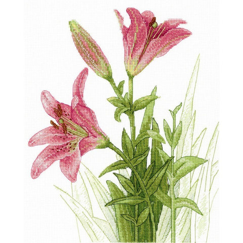 Siuvinėjimo Rinkinys MP Studija SNV-632 23x19cm - kaSiulai.lt