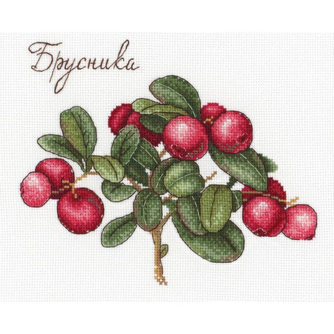 Siuvinėjimo Rinkinys MP Studija SNV-650 20x15cm - kaSiulai.lt