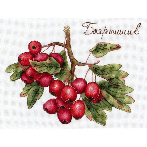 Siuvinėjimo Rinkinys MP Studija SNV-651 20x15cm - kaSiulai.lt