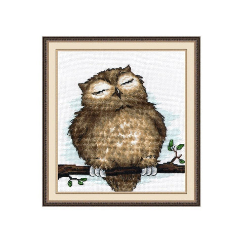 Siuvinėjimo rinkinys Oven Owl Dream S729 18x19cm - kaSiulai.lt
