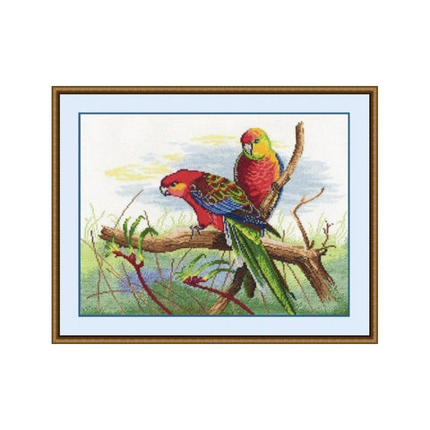 Siuvinėjimo rinkinys Oven Parrots S509 30x22cm - kaSiulai.lt