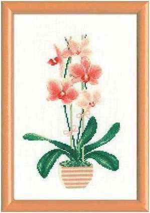 Siuvinėjimo rinkinys Riolis 1161 Orchidėja - kaSiulai.lt