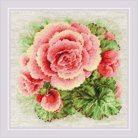 Siuvinėjimo rinkinys RIOLIS Begonia 2122 22x22cm - kaSiulai.lt