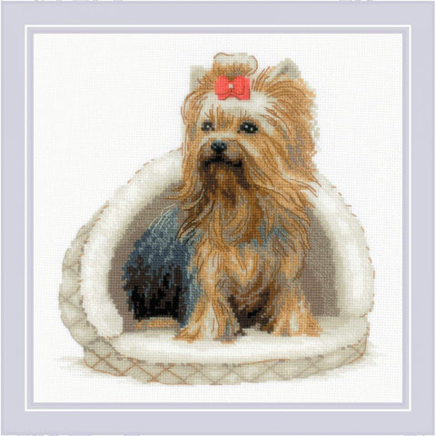 Siuvinėjimo rinkinys RIOLIS Yorkshire Terrier 2152 25x25cm - kaSiulai.lt