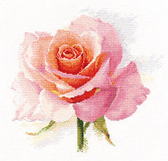 Rožių švelnumas – kryželiu siuvinėjimo rinkinys su rožių motyvu, Aida 16 ct, 24 × 24 cm