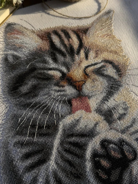 Siuvinėjimo kryželiu rinkinys „Minkštos letenėlės“ 27 x 27,5 cm