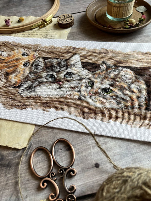 Kryželiu siuvinėjimo rinkinys „Pūkuotas trio“ – 35 × 14,5 cm, Aida kanva, vidutinio sudėtingumo