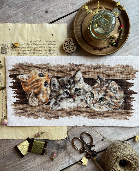 Kryželiu siuvinėjimo rinkinys „Pūkuotas trio“ – 35 × 14,5 cm, Aida kanva, vidutinio sudėtingumo